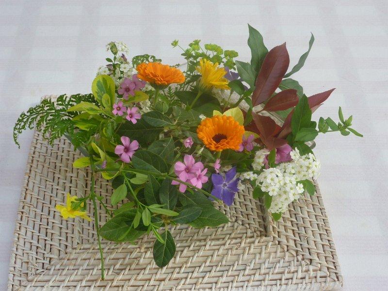 P1020809 [1600x1200].JPG